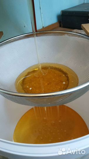 Мёд и сотовый мёд