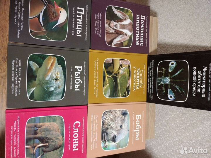 Книги серии 