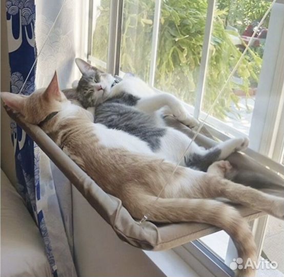Гамак лежанка для кошек на окно на присосках