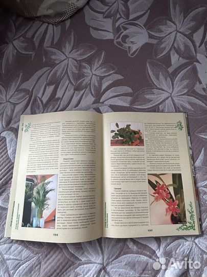 Энциклопедия комнатных растений