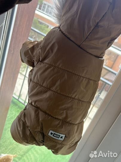 Комбинезон для маленькой собаки