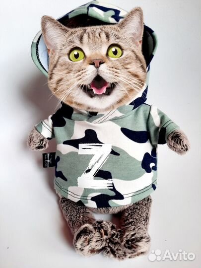 Одежда для Басика Распродажа