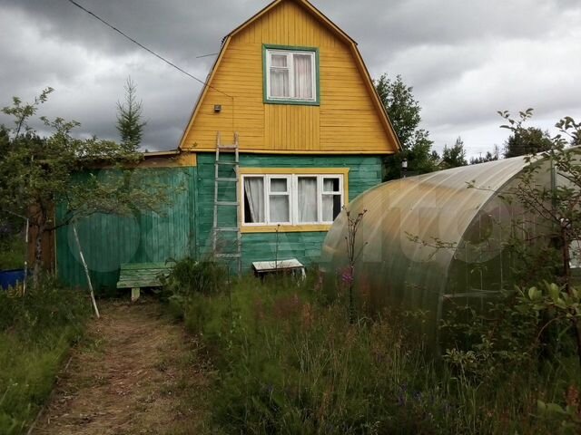 Авито петрозаводск частные объявления. Дача в Петрозаводске. СНТ Сампо Орзега. Петрозаводск Станкостроитель Орзега. Авито Петрозаводск.