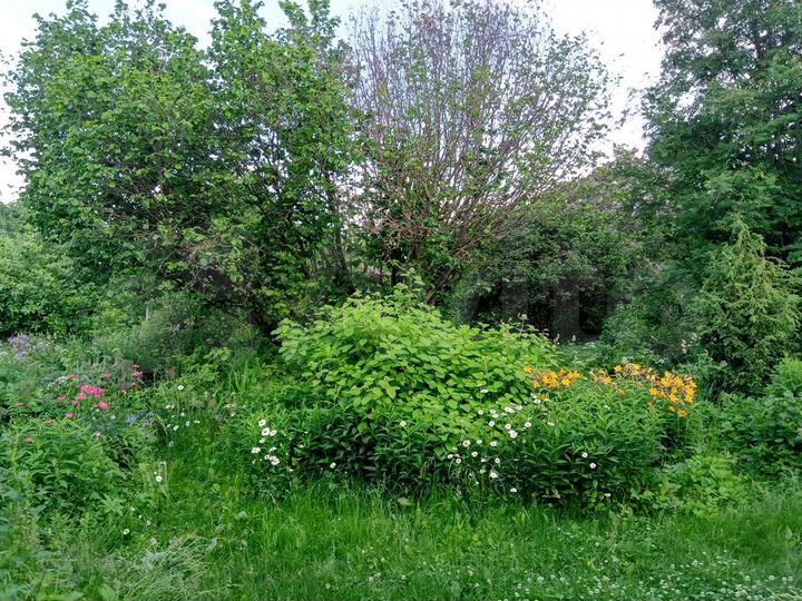 Дом 60 м² на участке 16 сот.