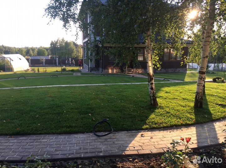 Рулонный газон под ключ