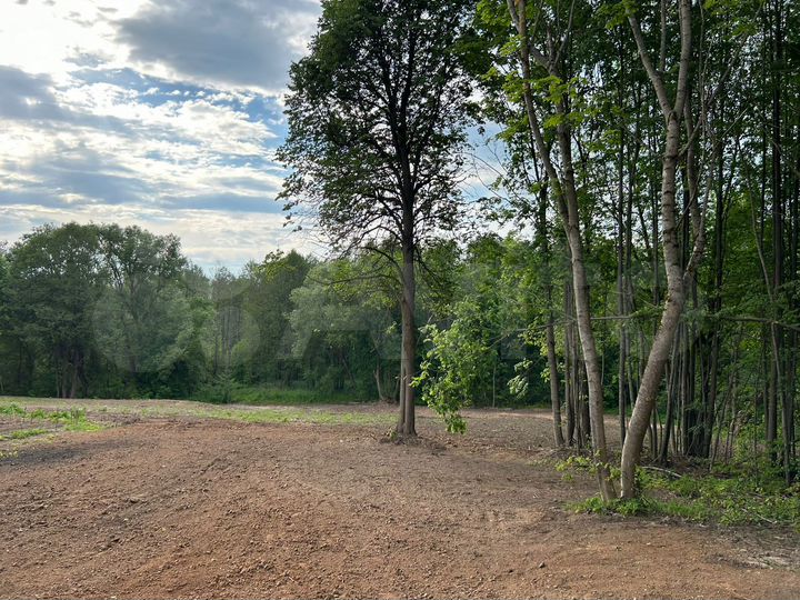 Участок 50 сот. (ИЖС)