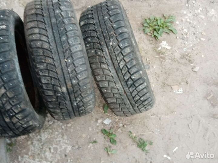 Gislaved Nord Frost 5 195/55 R15
