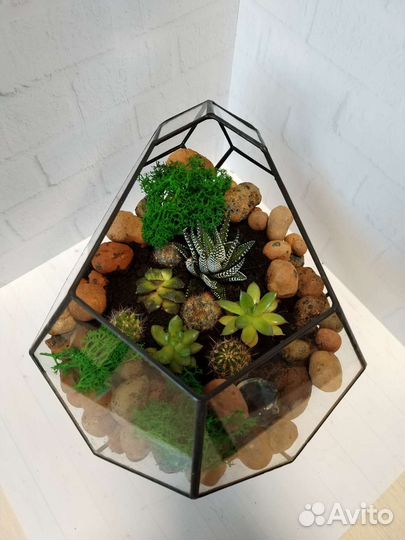 Флорариум бутон