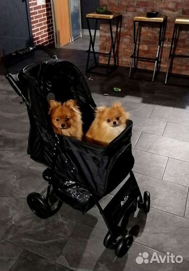 Коляска для животных