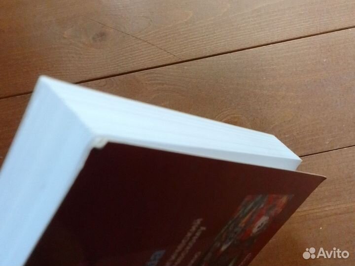 Дональд Калшед, Травма и душа