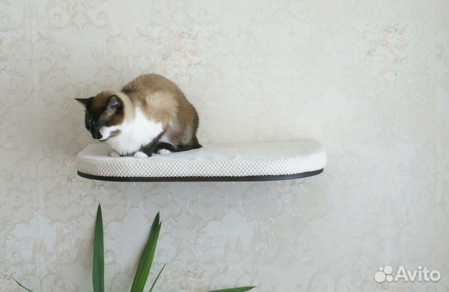 Настенная парящая полка лежанка для кошек