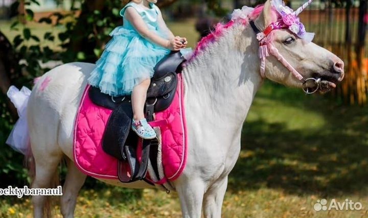 Продажа лошадей, пони