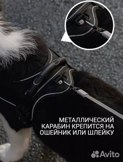 Поводок рулетка для собак