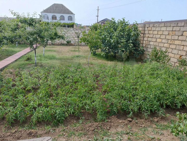 Дача 140 м² на участке 5,1 сот.