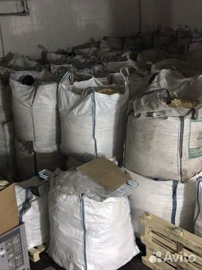 Корм для животных