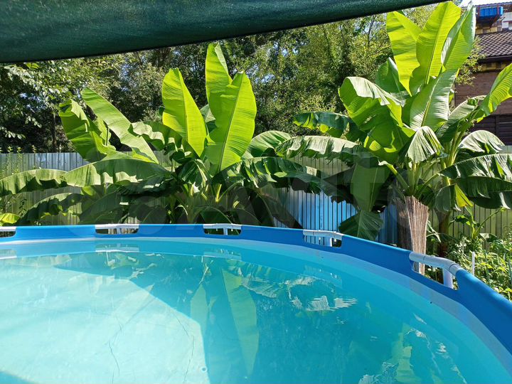 Комната 22 м², 2/3 эт.