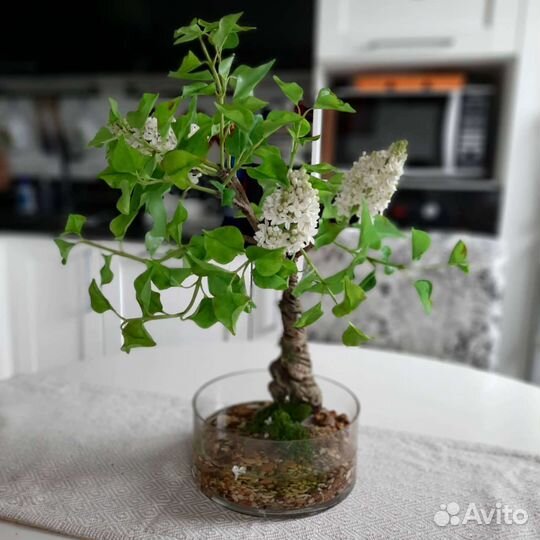 Сирень из холодного фарфора