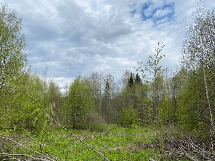 Участок 20 сот. (ИЖС)