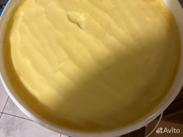 Мед пчелиный 10 литров