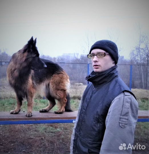 Инструктор-кинолог (Дрессировка собак)