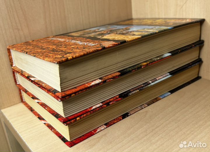 Старицкий Дмитрий. Путан*бус - наперегонки со смер