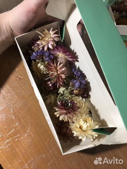 Сухоцветы для творчества