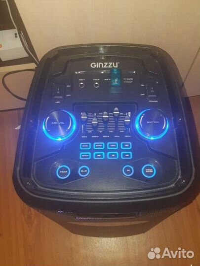 Колонка Ginzzu