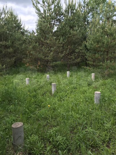 Участок 16 сот. (ИЖС)