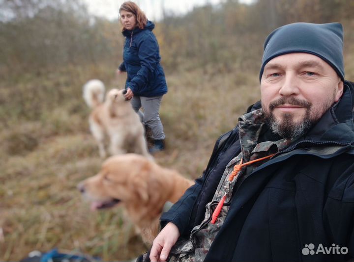 Дрессировка и воспитание собак / Кинолог с опытом