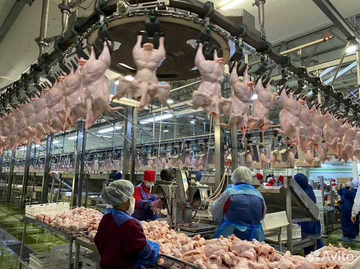 Обработчик(ца) полуфабрикатов. Вахта