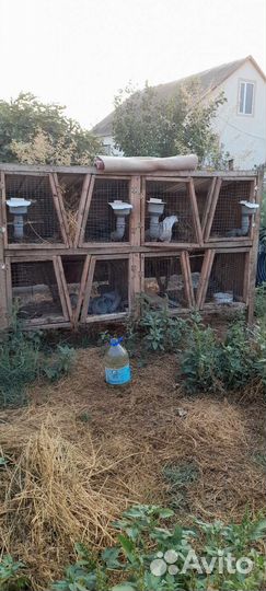 Клетка для кролика