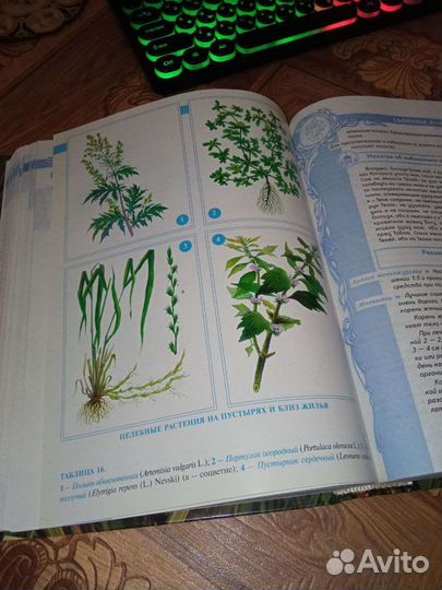 Большая энциклопедия народной медицины