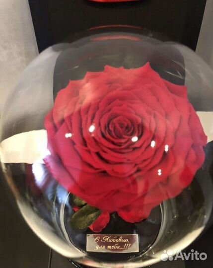 Роза в колбе