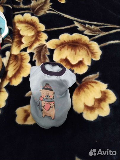 Свитера для кошек и шарфик