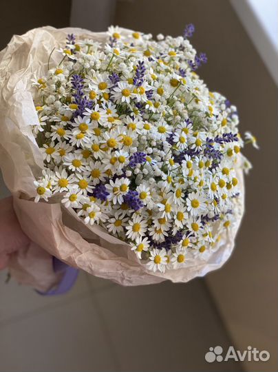 Ромашки цветы букеты