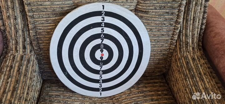 Дартс профессиональный