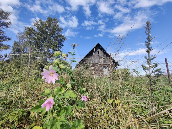 Дом 44 м² на участке 64 сот.