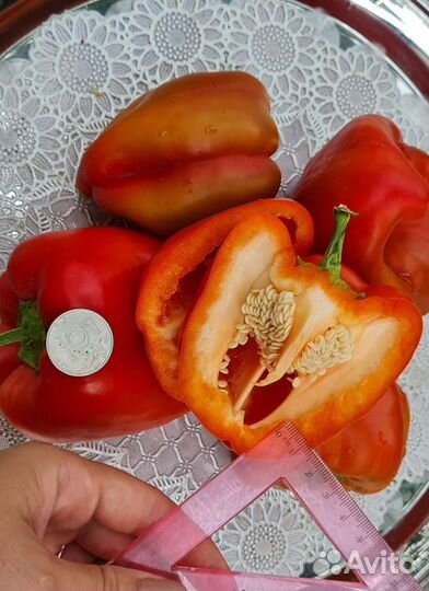 Семена сортовых перцев