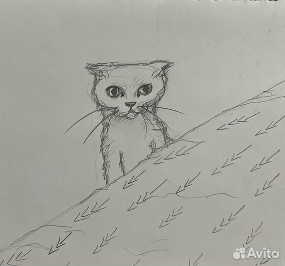 Рисунок питомца по фото