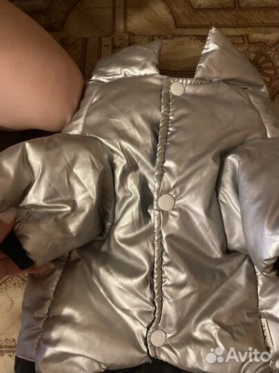 Куртка для собак