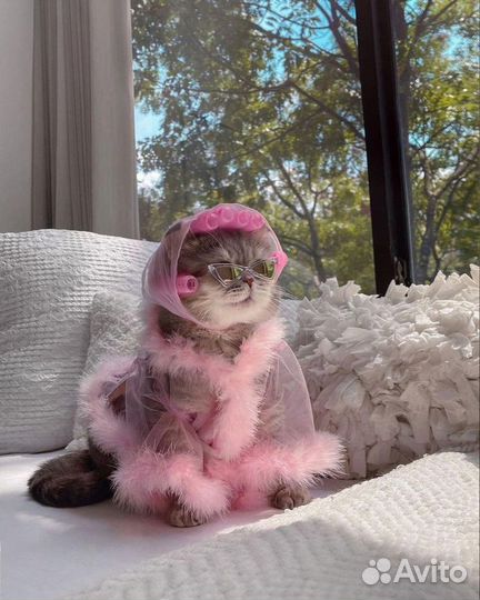 Администратор в салон красоты