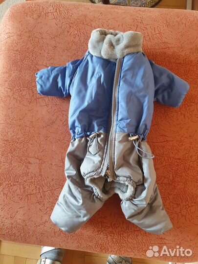 Комбинезон зимний для мелких собак