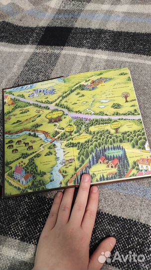 Книга Коты воители