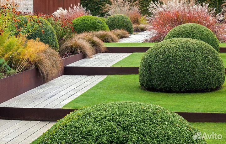 Рулонный газон