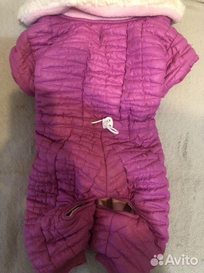 Зимний комбинезон для маленьких собак