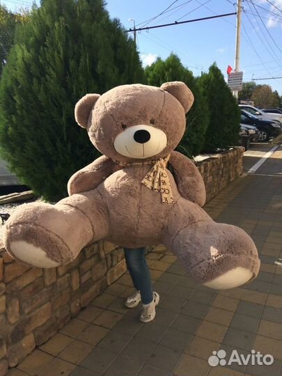 Мягкие игрушки. Мишки плюшевые от 500