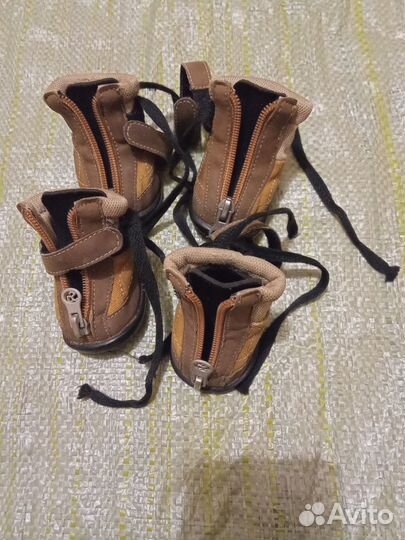 Обувь мел.собак р.1,4,ошейник+поводок.Цена за все