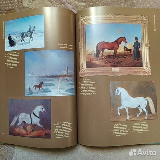 Книги конный спорт