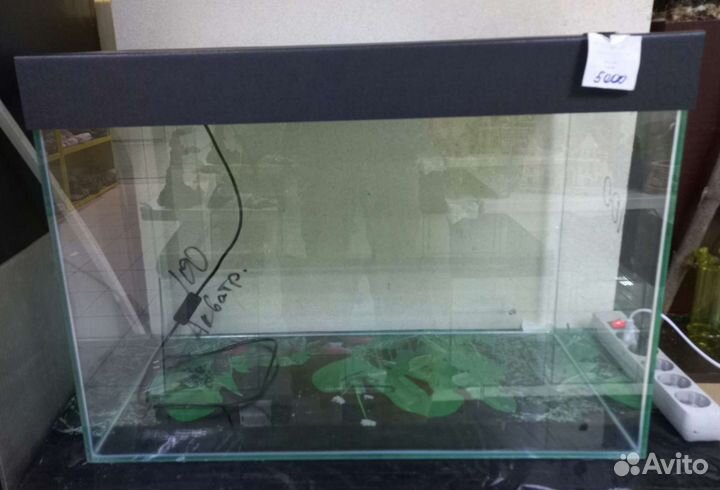 Аквариумы в ассортименте в акватропике