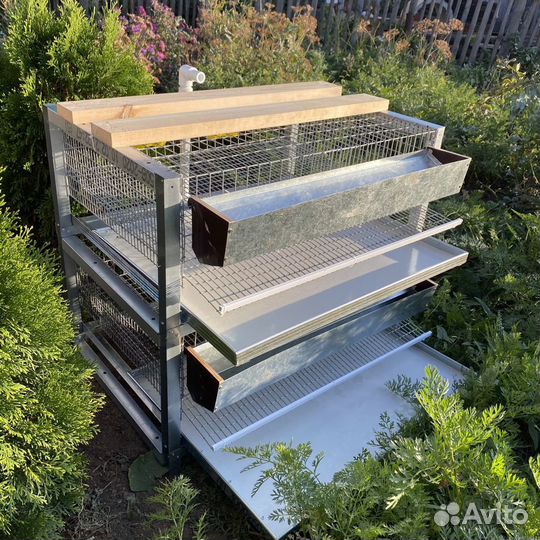 Клетка, брудер для перепелов
